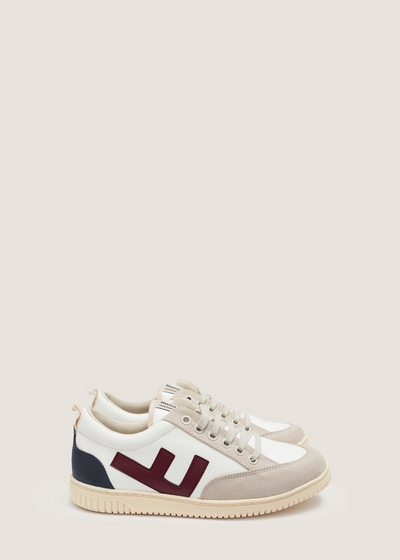 Roland V.3 Sneaker, Tricolor Ivory by Flamingos' Life - Sustainable